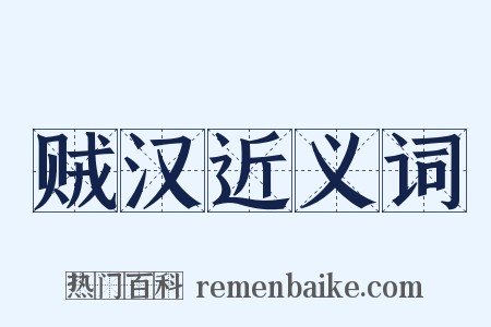 贼汉近义词是什么意思的图片